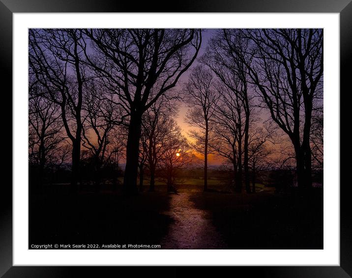 Sunset silhouettes at Badbury Rings Framed Mounted Print by Mark Searle