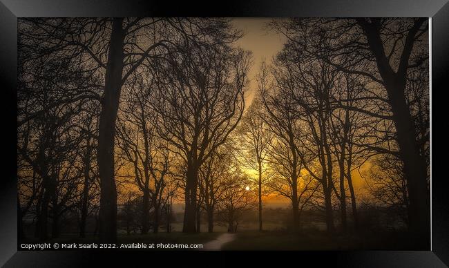 Silhouettes during sunset  Framed Print by Mark Searle