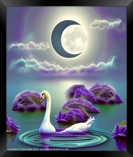 White Swan Floating on a Body of Water Framed Print by Dina Rolle