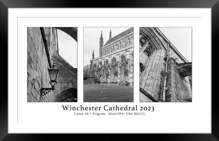 Winchester Cathedral 2023 Framed Mounted Print by Stephen Young
