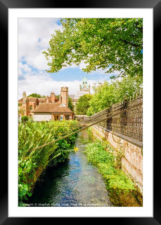 Abbey Gardens Winchester Framed Mounted Print by Stephen Young