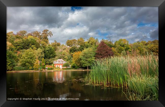 Autumn Colours Along the Thames Riverbank Framed Print by Stephen Young