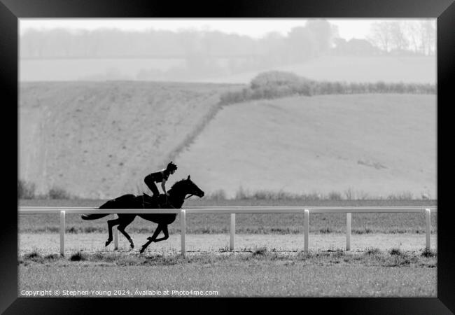 Horse and Rider Galloping Framed Print by Stephen Young