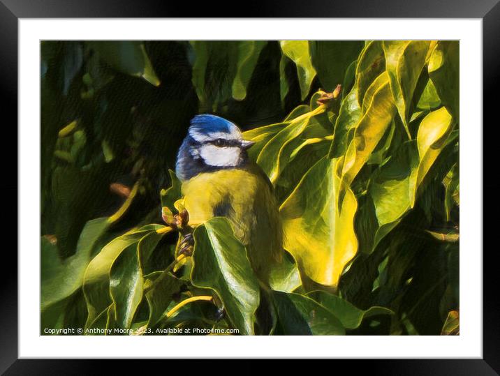 Bird In The Bush Framed Mounted Print by Anthony Moore