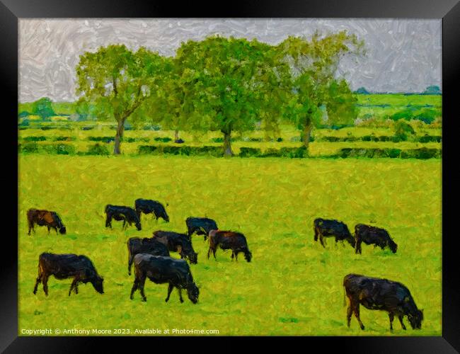Evening Grazing. Framed Print by Anthony Moore