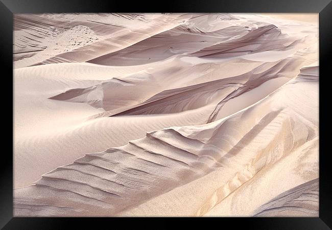 Serrated Lake Michigan Sand Framed Print by David Roossien