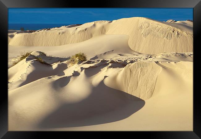 Lake Michigan Dune Framed Print by David Roossien