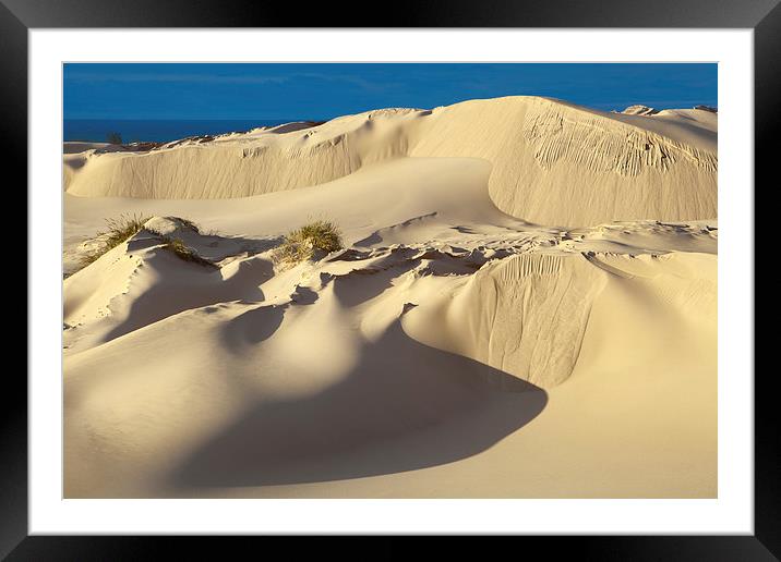 Lake Michigan Dune Framed Mounted Print by David Roossien