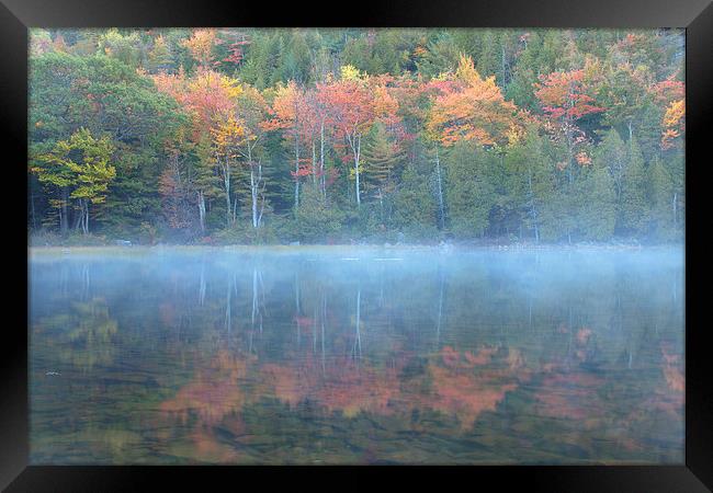 Bubble Pond Reflection, Maine Framed Print by David Roossien