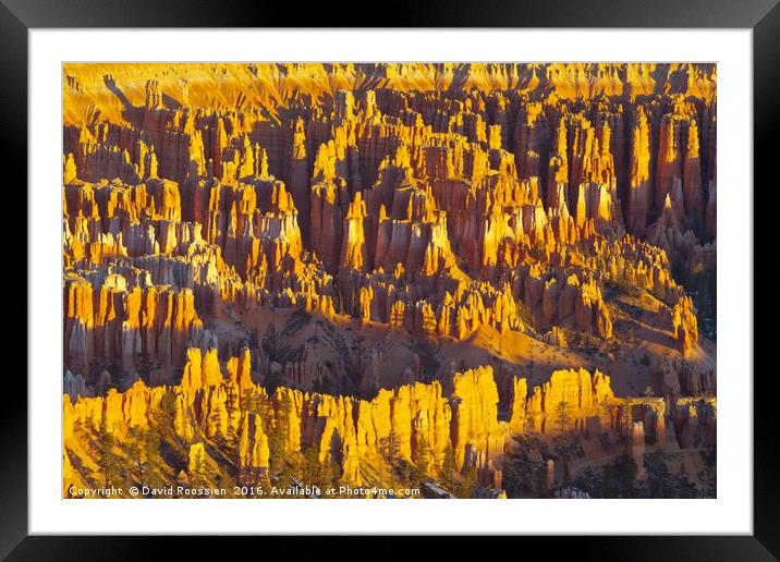 Amphitheater, Bryce Canyon National Park Framed Mounted Print by David Roossien