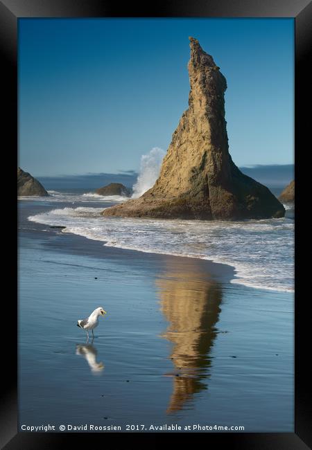 Chokng Call and Witch's Hat, Bandon, Oregon, USA Framed Print by David Roossien