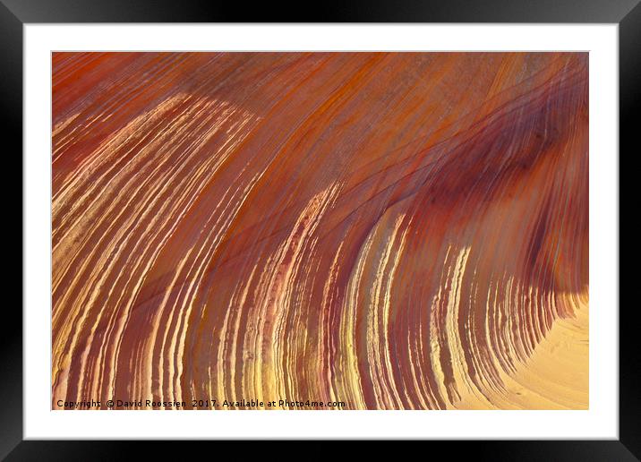Sunlit Sandstone Ridges, Coyote Buttes, Utah, USA Framed Mounted Print by David Roossien