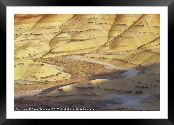 Sunlit Valley, Painted Hills, Oregon, USA Framed Mounted Print by David Roossien