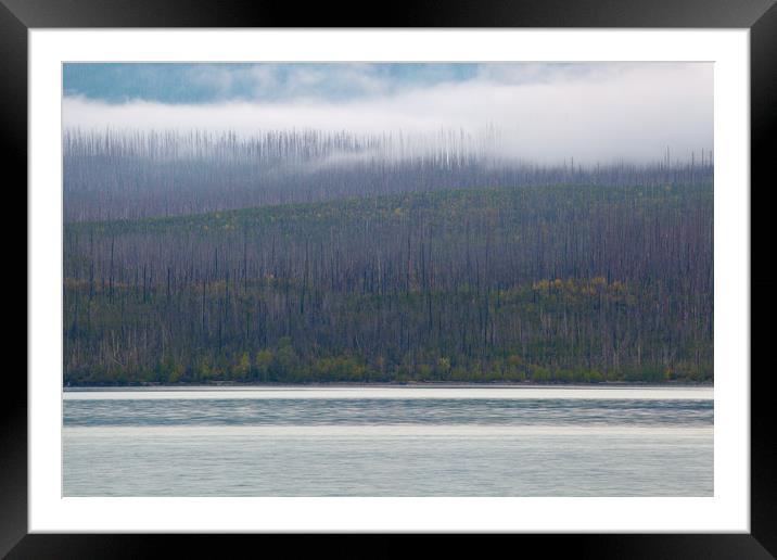 Lake McDonald Layers, Glacier National Park, Monta Framed Mounted Print by David Roossien