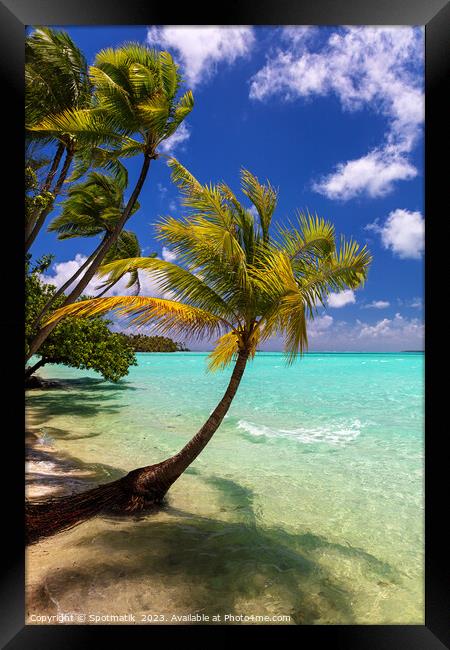 Bora Bora beach palms in sunlight Luxury beach  Framed Print by Spotmatik 