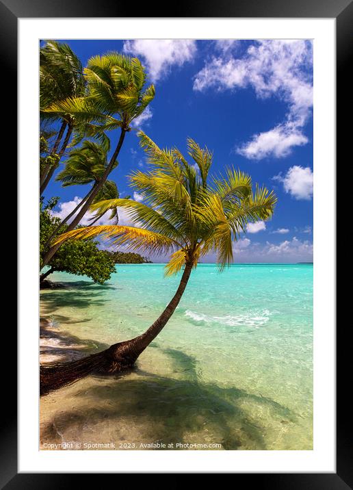 Bora Bora beach palms in sunlight Luxury beach  Framed Mounted Print by Spotmatik 
