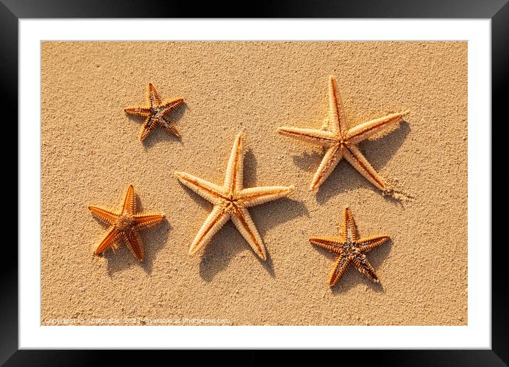 Starfish from tropical ocean on Caribbean island beach Framed Mounted Print by Spotmatik 