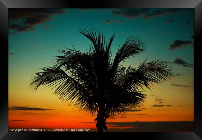 Palm tree at sunset tropical Island beach America Framed Print by Spotmatik 