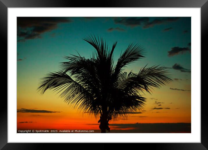 Palm tree at sunset tropical Island beach America Framed Mounted Print by Spotmatik 