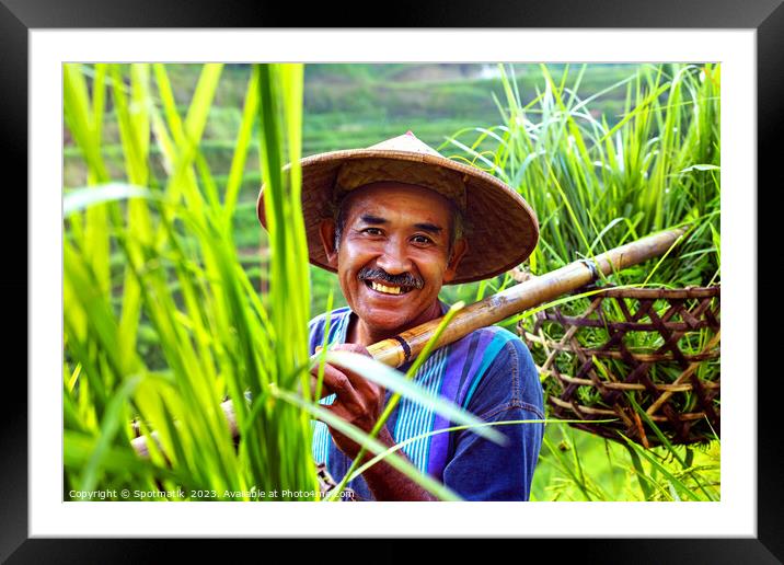 Portrait Bali man collecting rice plants bamboo baskets  Framed Mounted Print by Spotmatik 