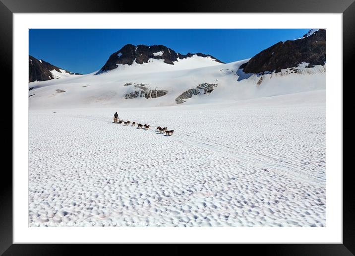Aerial view of Alaska dogsledding team Chugach Mountains Framed Mounted Print by Spotmatik 