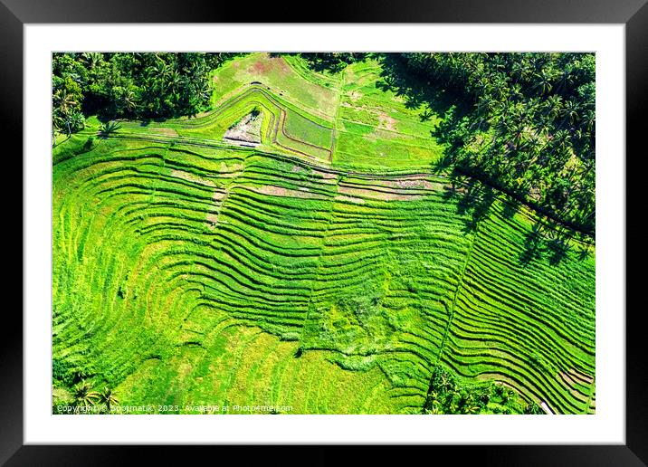 Aerial view Ubud plantation farming rice terraces Bali  Framed Mounted Print by Spotmatik 