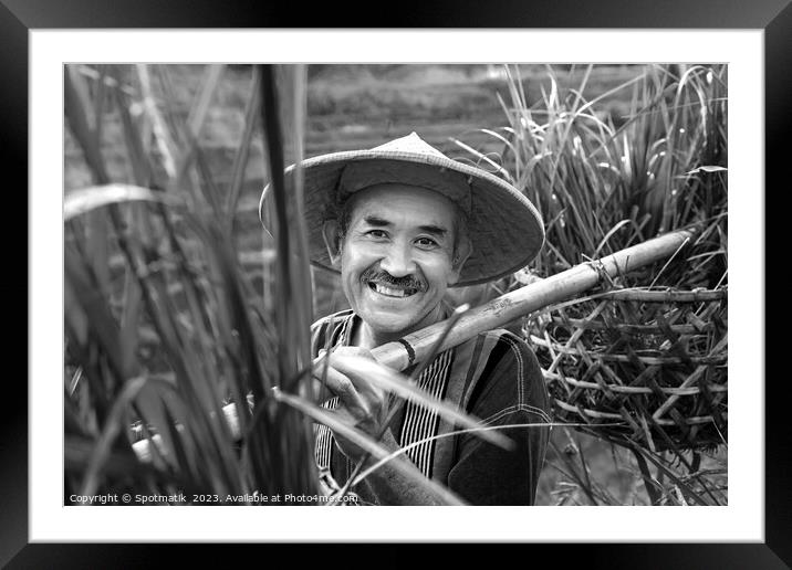 Portrait Bali man collecting rice plants bamboo baskets  Framed Mounted Print by Spotmatik 