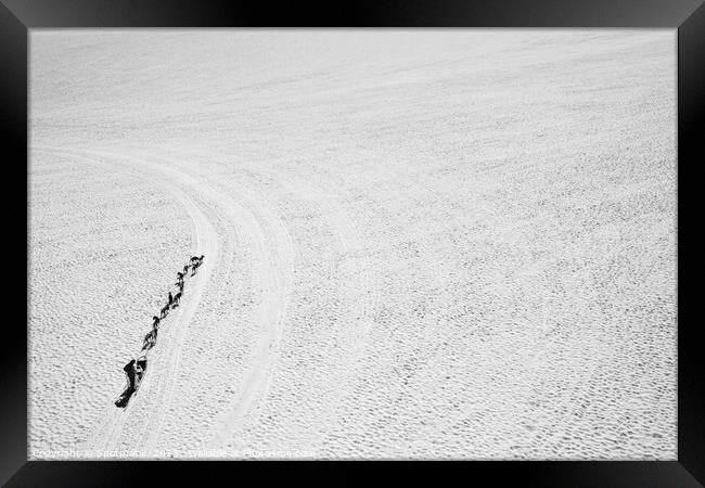 Aerial view sledging dog handler Chugach mountains America Framed Print by Spotmatik 
