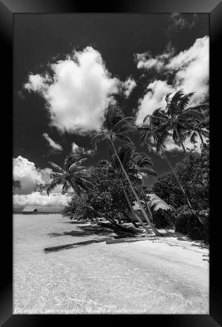 Bora Bora Palm trees tropical luxury vacation resort Framed Print by Spotmatik 