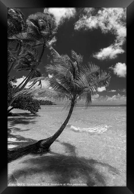 Bora Bora beach palms in sunlight Luxury beach  Framed Print by Spotmatik 