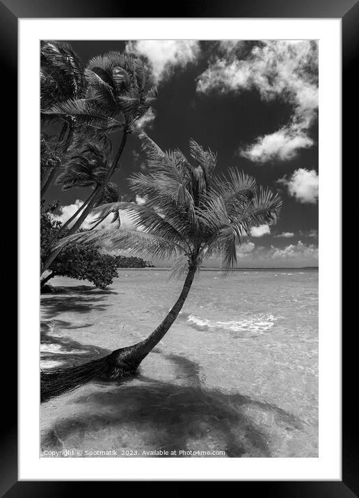 Bora Bora beach palms in sunlight Luxury beach  Framed Mounted Print by Spotmatik 