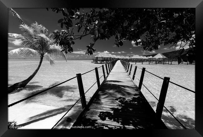 Bora Bora Island walkway jetty Overwater luxury Bungalows  Framed Print by Spotmatik 
