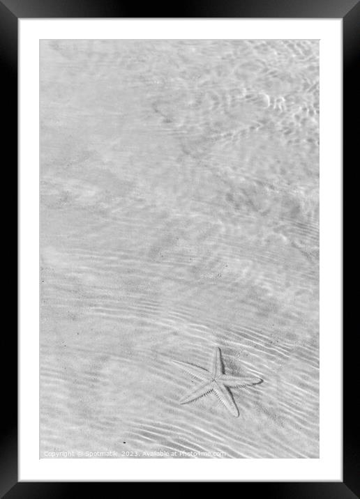 The starfish on white sandy tropical beach Bahamas Framed Mounted Print by Spotmatik 