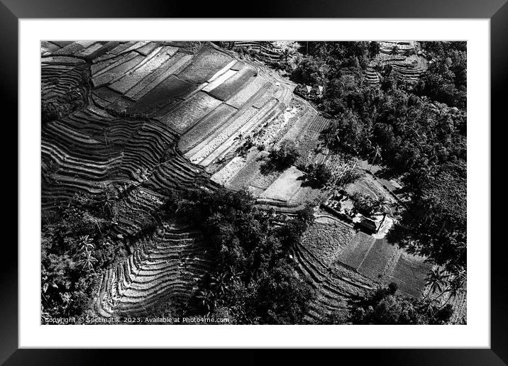 Aerial Bali Indonesia Ubud plantation rice terraces Asia Framed Mounted Print by Spotmatik 