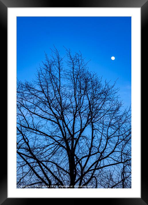 Bare tree at dusk with full moon Framed Mounted Print by Chris Brink
