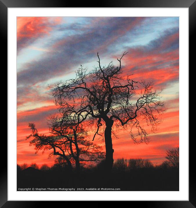 Autumn Sky behind a tree Framed Mounted Print by Stephen Thomas Photography 