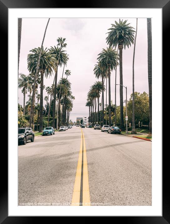 Beverly Hill Palm Trees Framed Mounted Print by Benjamin Brewty