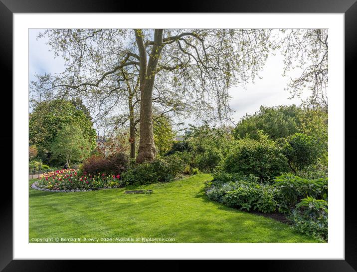 Flowers In St James's Park Framed Mounted Print by Benjamin Brewty