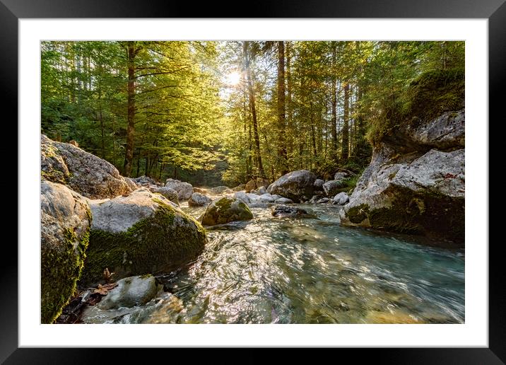 Little river between rocks in the forest Framed Mounted Print by Balázs Tóth