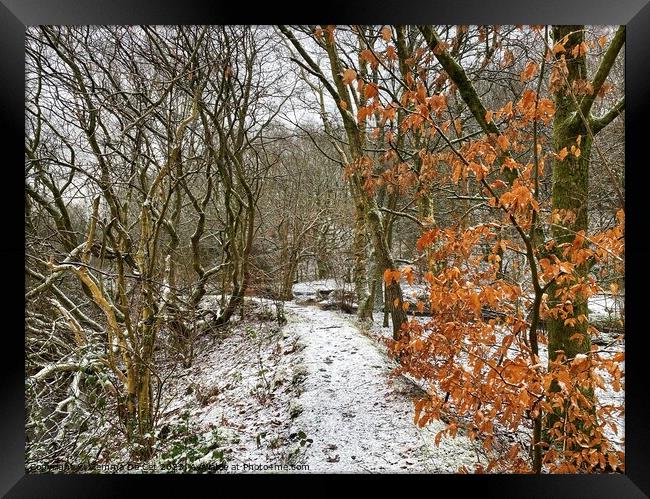 Winter Woodland in the Snow Framed Print by Gemma De Cet