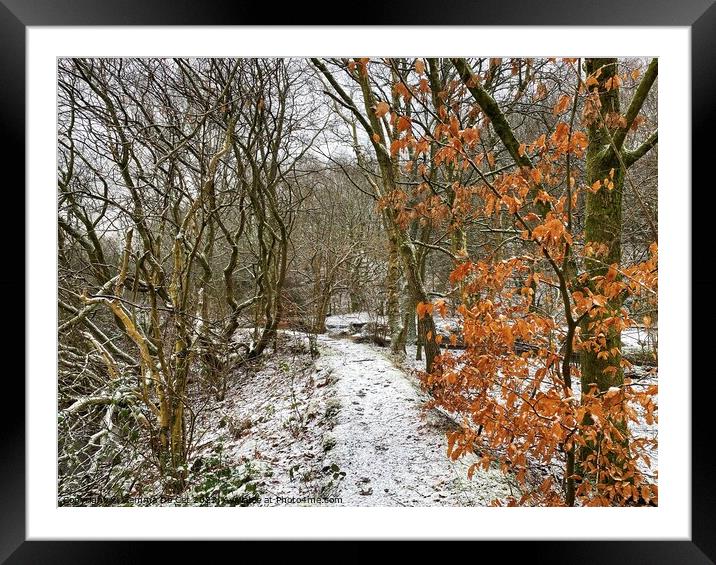Winter Woodland in the Snow Framed Mounted Print by Gemma De Cet