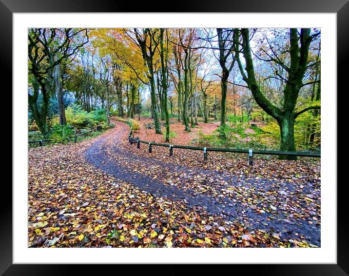 Winding path through Autumn Woodland Framed Mounted Print by Gemma De Cet