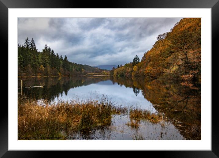 Reflective Loch Ard in Autumn 1 Framed Mounted Print by Neil McKellar