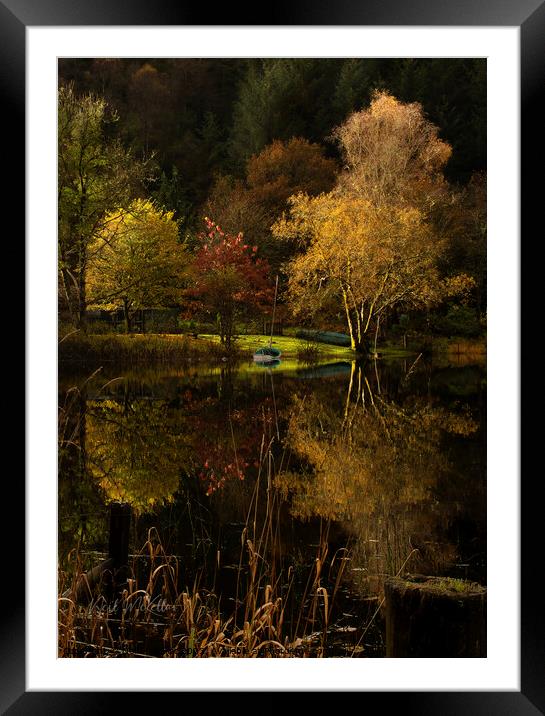 Reflections on Loch Ard 2 Framed Mounted Print by Neil McKellar