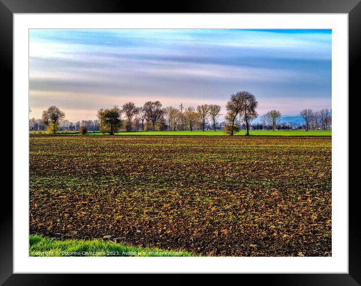 Outdoor field with trees and a streaked sky Framed Mounted Print by Ottorino Cavazzana