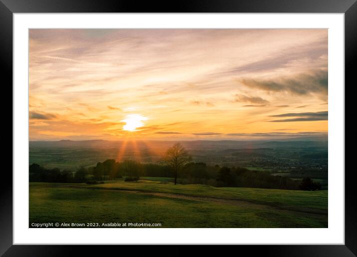 Pink on Green Framed Mounted Print by Alex Brown