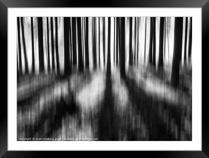  Dark moody forest. Framed Mounted Print by Cristi Croitoru