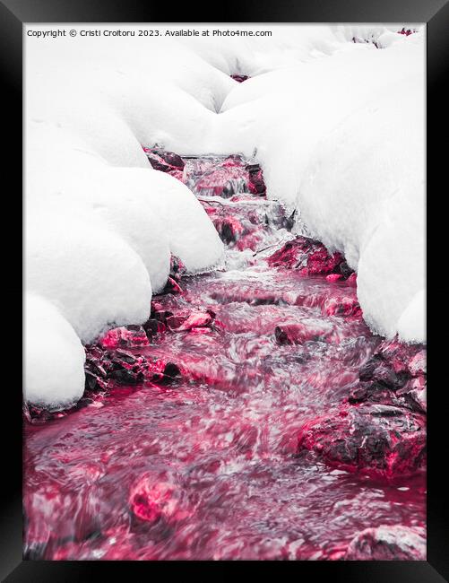 Winter forest red stream. Framed Print by Cristi Croitoru