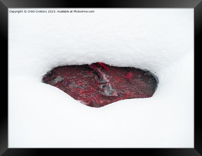 Beneath the  snow Framed Print by Cristi Croitoru