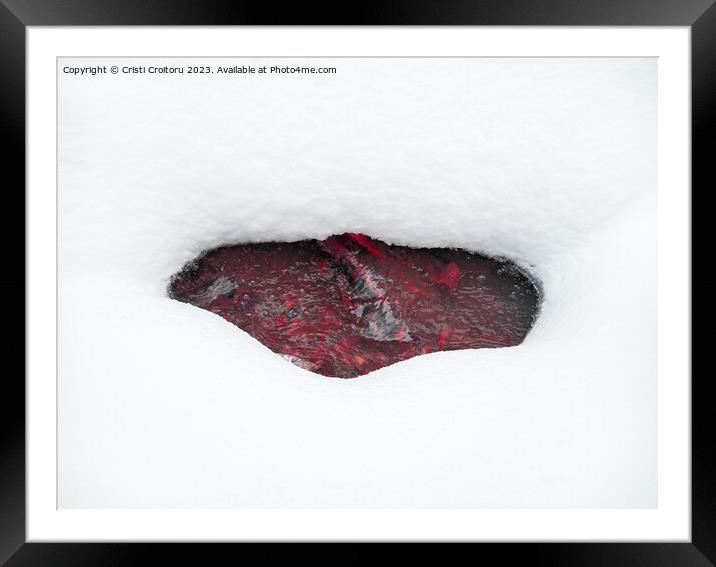 Beneath the  snow Framed Mounted Print by Cristi Croitoru